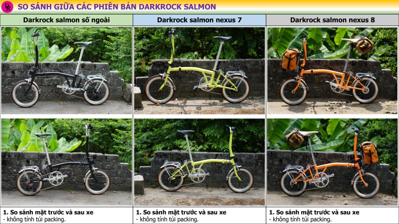 So sánh phân biệt darkrock salmon