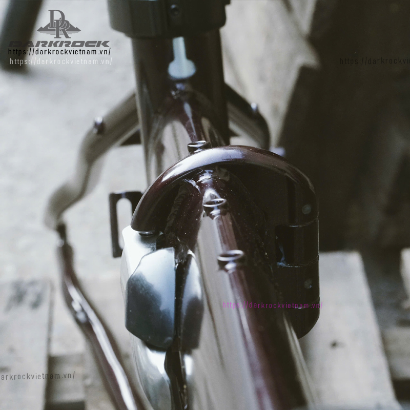 Khung xe đạp gấp Darkrock Jungle 20 inch - Ảnh 2