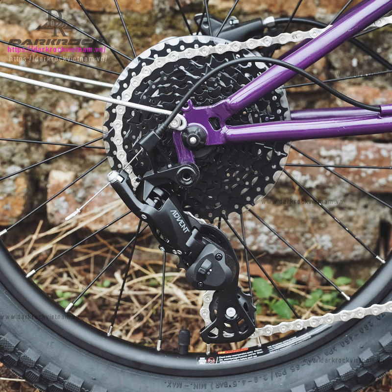 Xe đạp gấp 20 inch Darkrock Jungle