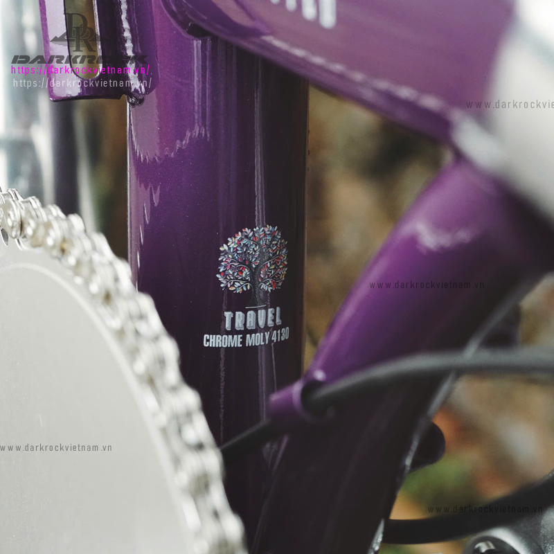 Xe đạp gấp 20 inch Darkrock Jungle - Ảnh 3