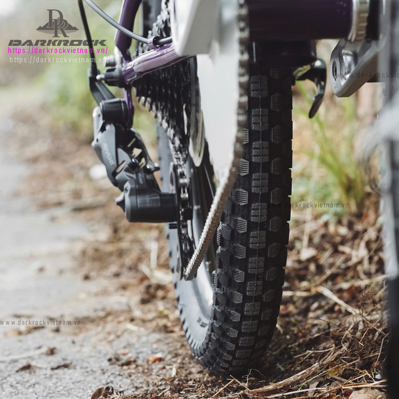 Xe đạp gấp 20 inch Darkrock Jungle