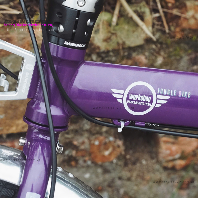 Xe đạp gấp 20 inch Darkrock Jungle - Ảnh 11