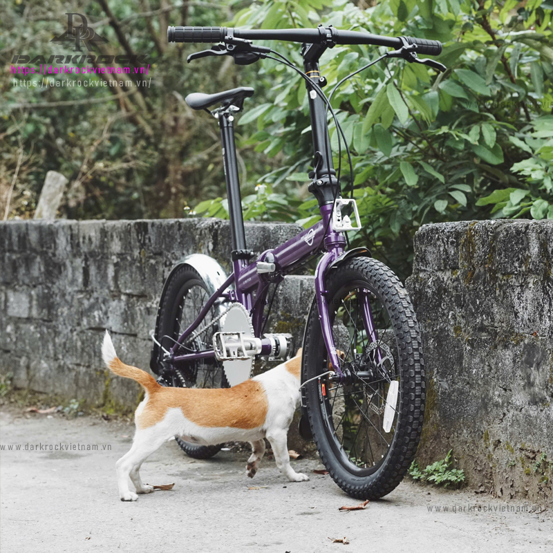 Xe đạp gấp 20 inch Darkrock Jungle