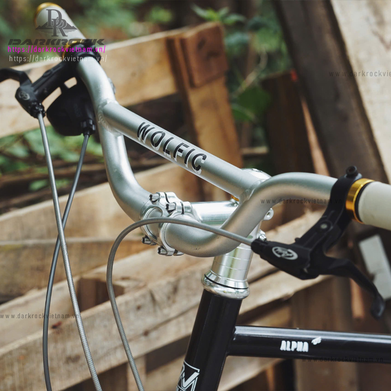 WOLFIC Alpha Mini Velo 20 Inch - Ảnh 21