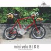 Wolfic Alpha đỏ rượu vang Cornerbar